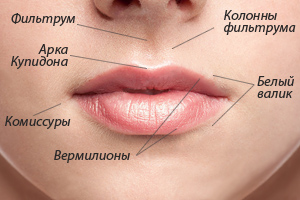 Для кого процедуры по увеличению объема губ
